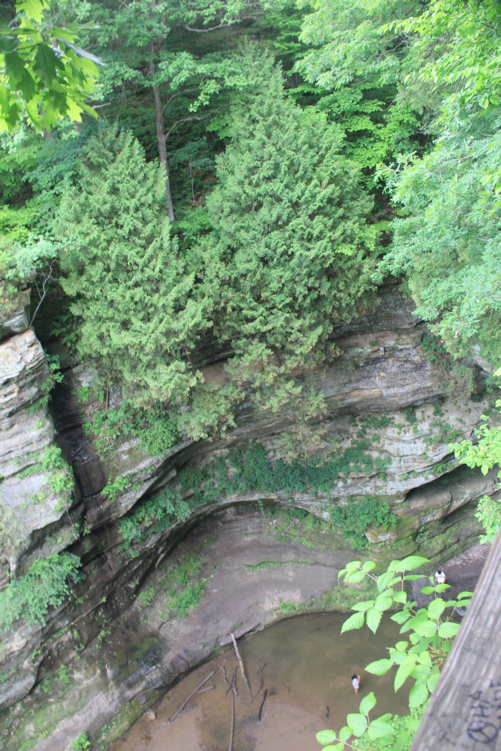 Starved Rock 